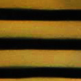 Black Stripe